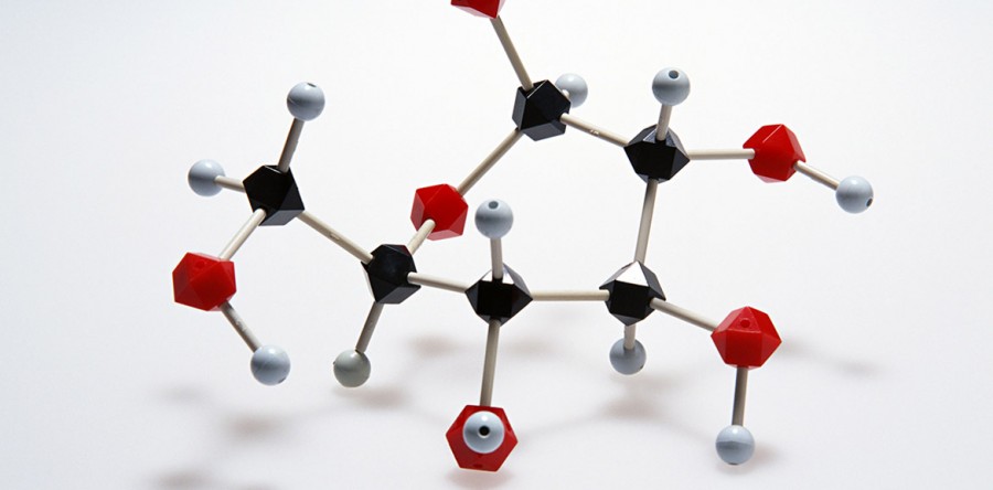 “Hidden” Genes in Bacteriophages Could Be Key in Development of New Antibiotics