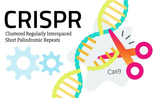 The Wired Guide to CRISPR