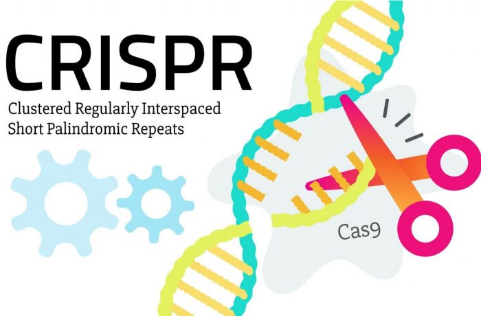 The Wired Guide to CRISPR