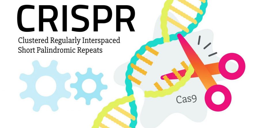 The Wired Guide to CRISPR