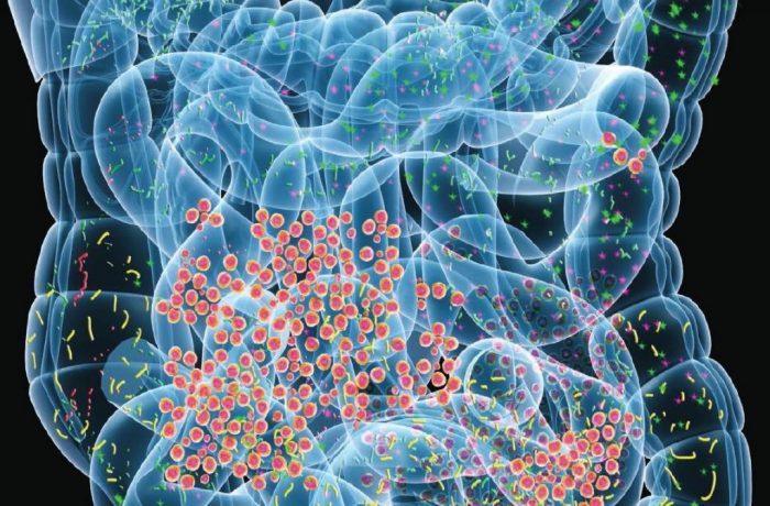 Defining the Human Microbiome