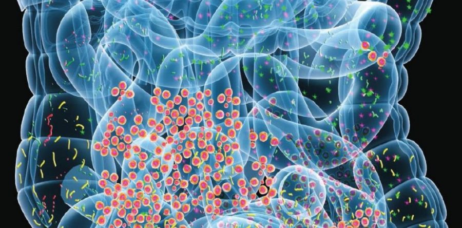 Defining the Human Microbiome