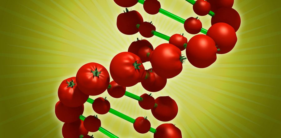 Researchers Focus On Gene-Editing Technology To Kick-Start Crop Regeneration