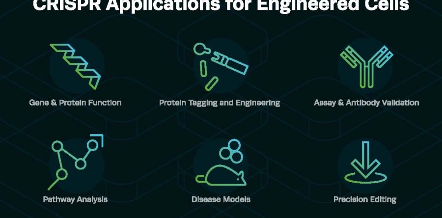 Synthego Raises $200 Million to Accelerate the Field of CRISPR-Based Medicines from Early-Phase Research to the Clinic