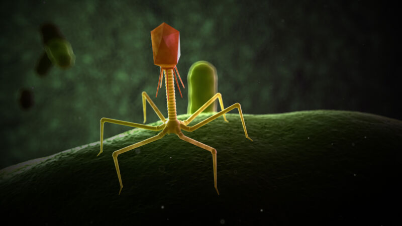 Gene editing makes bacteria-killing viruses even more deadly